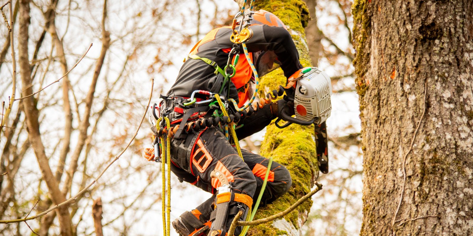pantalon de protection scie à chaîne